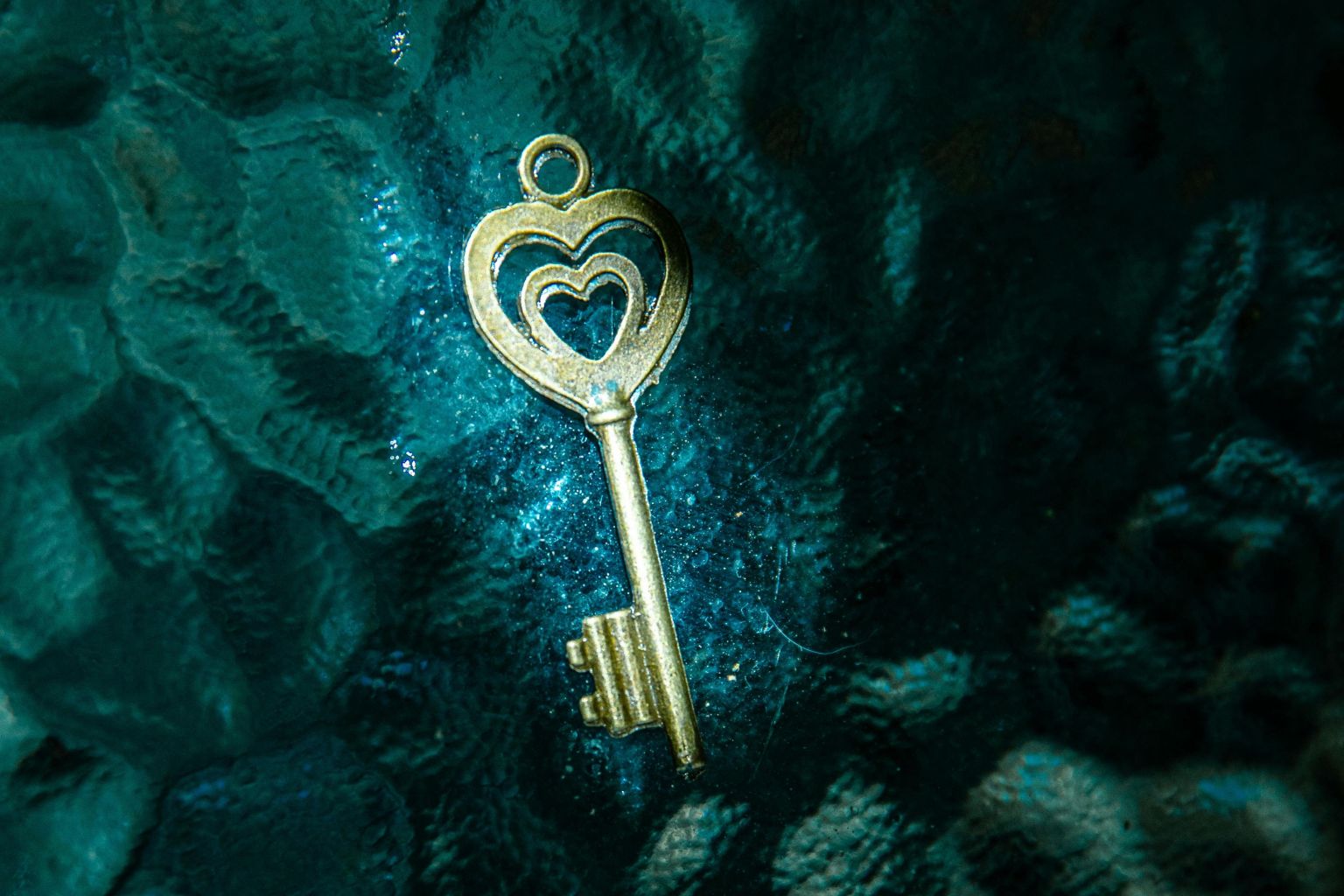 The Start Of A New Beginning I Story by Dhriti