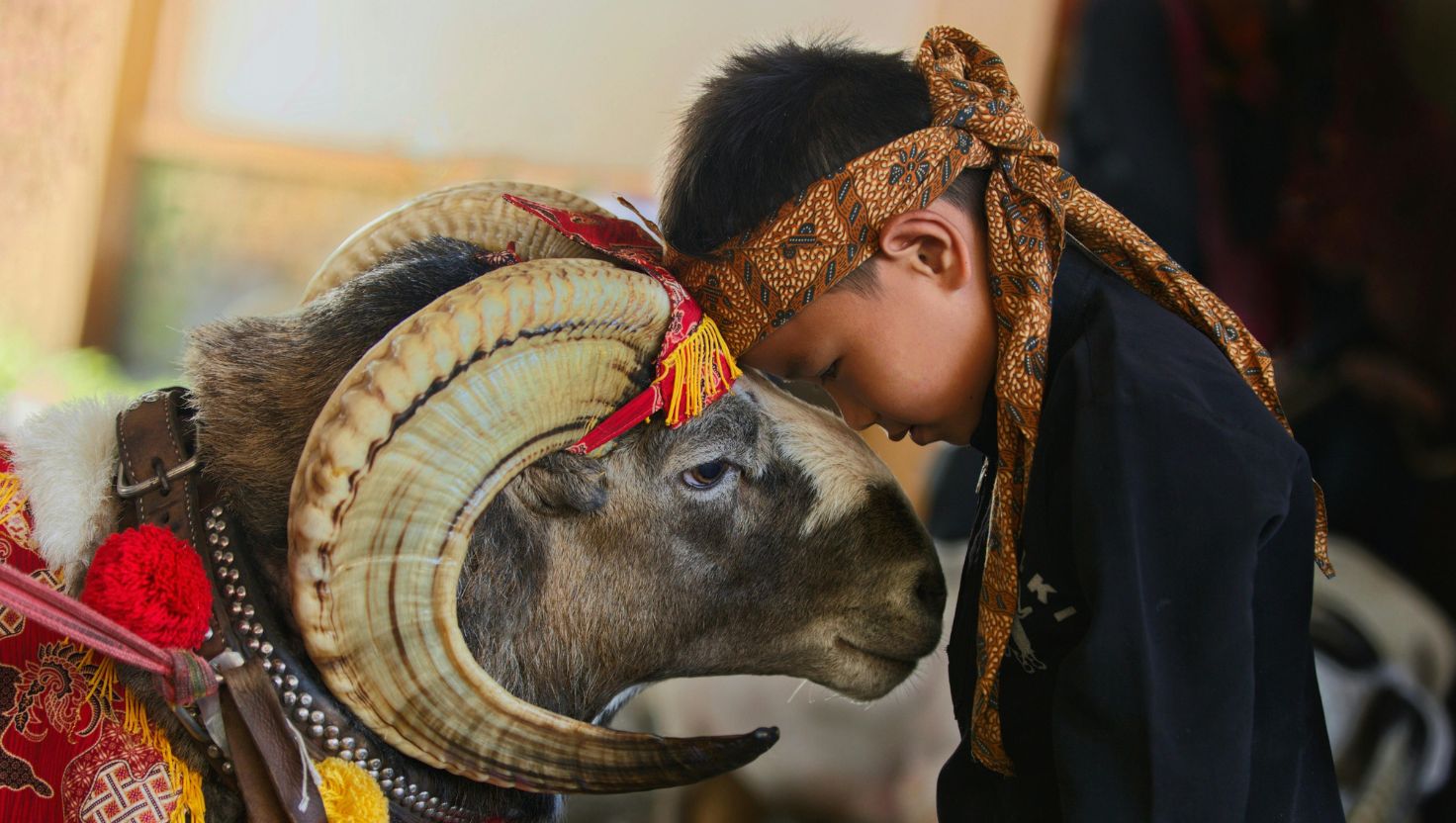 Limericks I Poem By Kiyara , 9, Kolkata