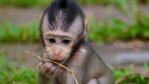 Bond Beyond Words I Story By Damayanti, 12, Panihati