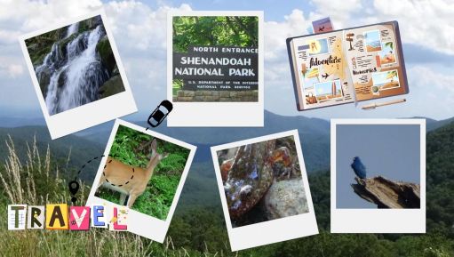 The Breathtaking Adventure to Shenandoah National Park I Blog By Param