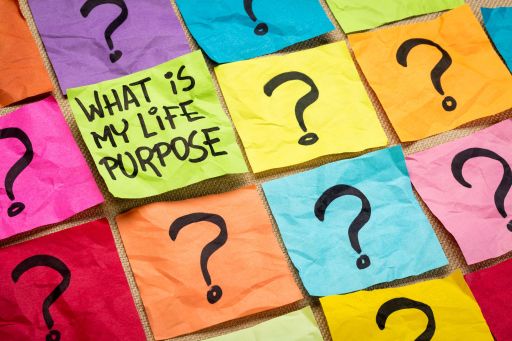 Purpose of Life: Do We Discover It or Create It? I Blog By Taashvee
