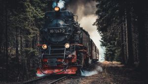 Role of Indian Railways in the Freedom Struggle