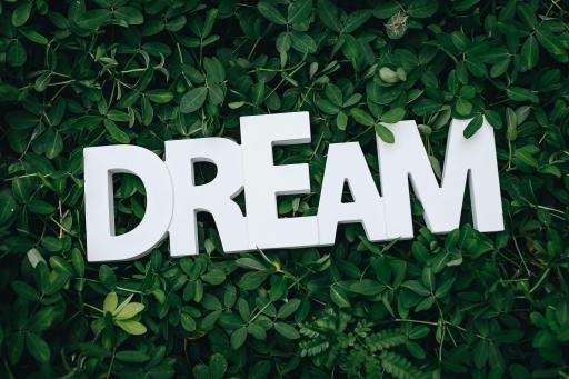 Dream : A Different Reality I Poem By Anom, 12, Hyderabad