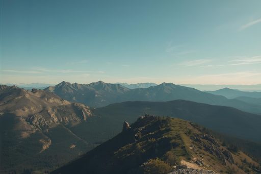 If Fear Did Not Exist I Poem By Janisha