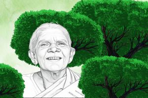Padma Shri Saalumarada Thimmakka: Life, Environmental Legacy, Awards and Contributions