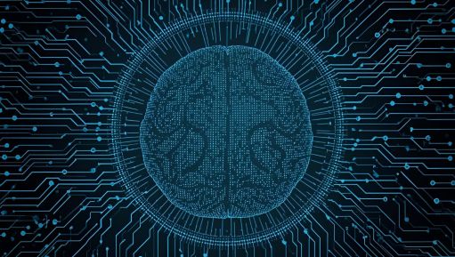 The Witness and the Flame: Discovering Consciousness from Silence, Struggle, and Science I EssayBy Abhinaw