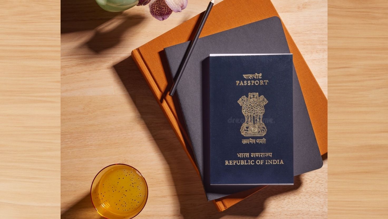 Autobiography of a Passport