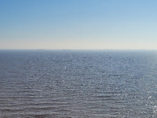  The Brilliant Adventure to Blackbuck National Park1