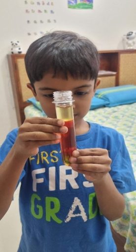 Vidhur Kaushik - The Liquid Density Experiment