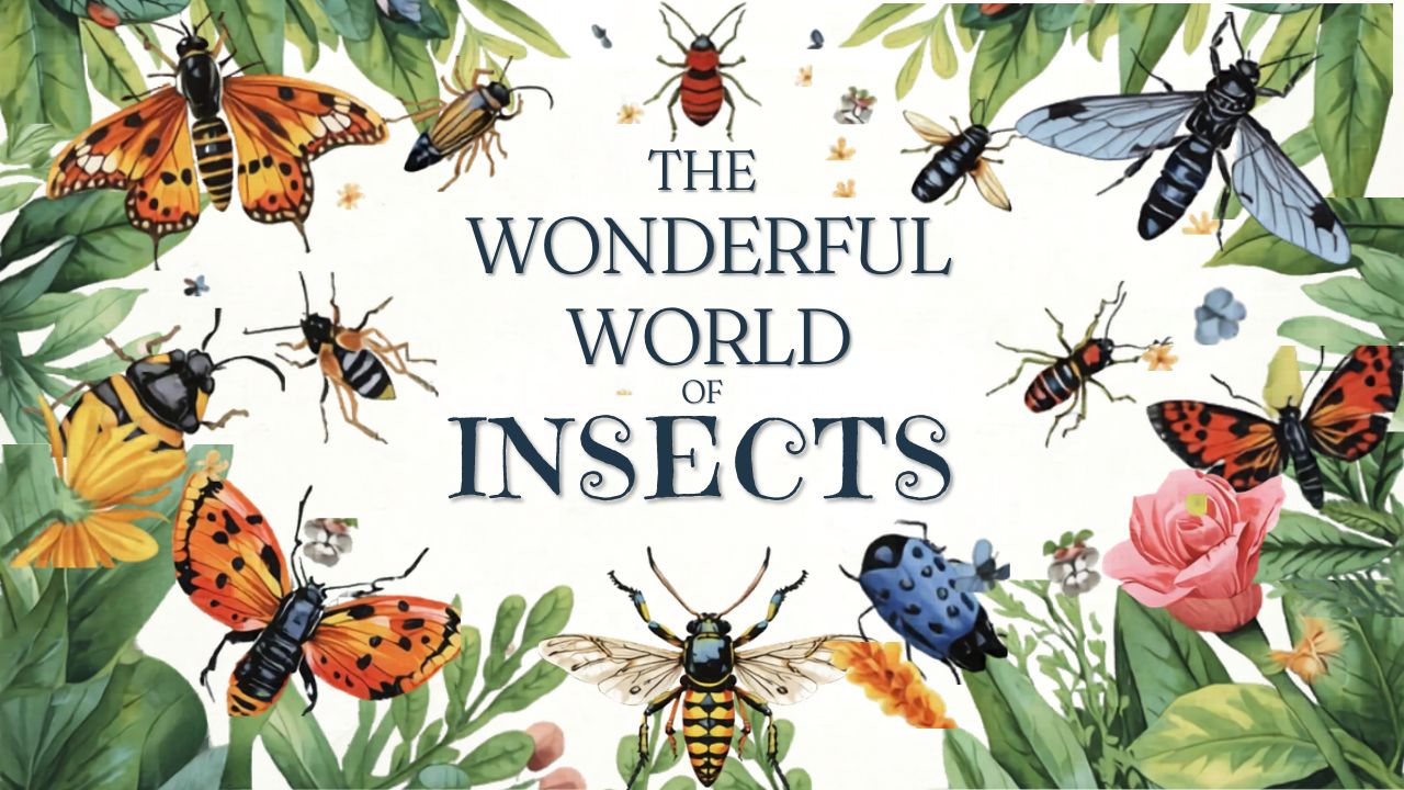 The Wonderful World of Insects I Blog By Team Bookosmia